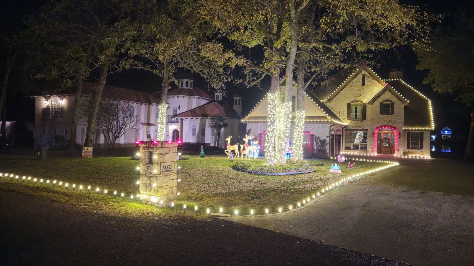 Wrapped Trees & Yard Display